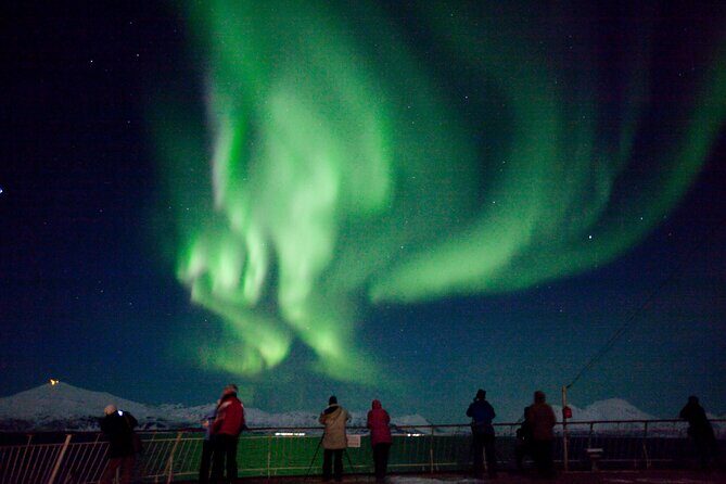 Highway to Heaven - Aurora Cable Car Transfer in Tromsø - Is This Tour Worth the Price?