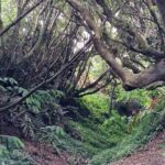 Hike 3 hours Inland Terceira Island - Final Thoughts