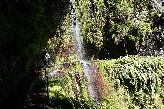 Hike in Laurisilva Levada do Rei - Madre of Life small Group guided walk - Why This Tour Offers Great Value