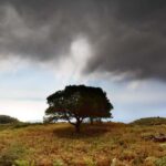 Hike Randi's Forest, Seychelles by Boat & Lunch - Practical Details & Tips