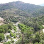 Hike to Gorropu Canyon - Who will love this tour?