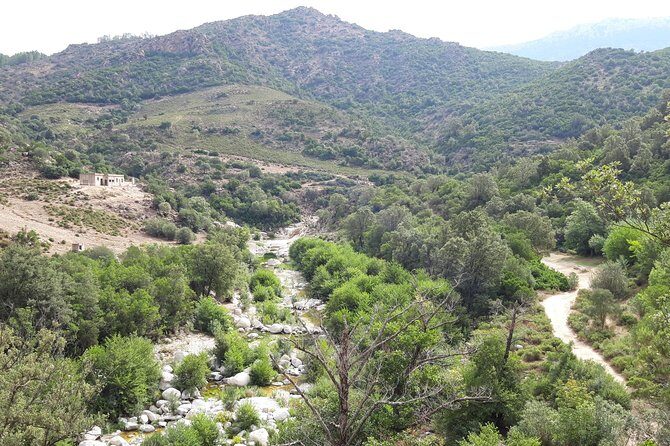Hike to Gorropu Canyon - Who will love this tour?