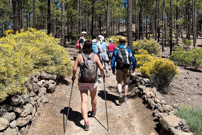 Hikes Roque Nublo - The Experience: What Travelers Say