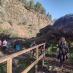 Hiking and bathing in natural pools in the National Park - Who will love this tour?