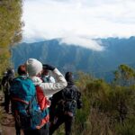 Hiking and Trekking tours in Madeira - The Core of the Tour: A Guided Levada Walk
