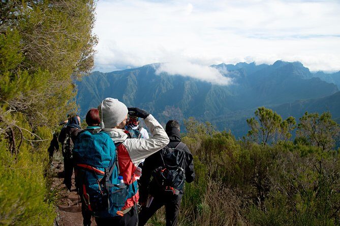 Hiking and Trekking tours in Madeira - The Core of the Tour: A Guided Levada Walk