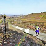 Hiking and wine tour starting from Alba - The Experience’s Strengths, Based on Reviews and Our Insights