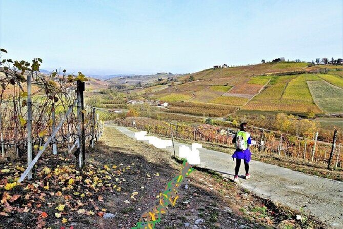 Hiking and wine tour starting from Alba - The Experience’s Strengths, Based on Reviews and Our Insights