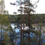 Hiking around forest and lake - The Sum Up