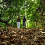 Hiking Faial da Terra + Van Tour Nordeste - Why This Tour Offers Great Value