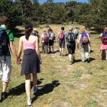 Hiking in Madrid National Park with Transport - Why This Tour Is a Great Value