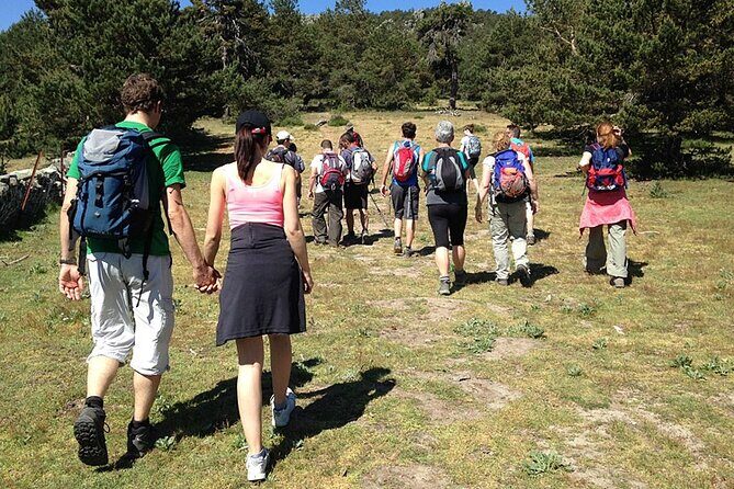 Hiking in Madrid National Park with Transport - Why This Tour Is a Great Value