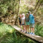 Hiking in Polilimnio Waterfalls - The Sum Up: Why Choose This Tour?