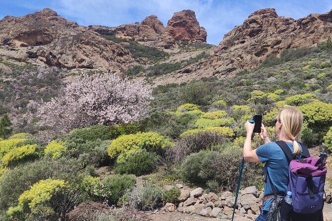 Hiking in the Sacred Mountains of Gran Canaria: UNESCO - A Closer Look at the Experience