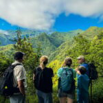 Hiking Madeira: Levada do Rei and the Majestic Laurissilva - What Makes This Tour Stand Out