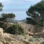 Hiking on Alcudia Peninsula - What Makes This Tour Stand Out