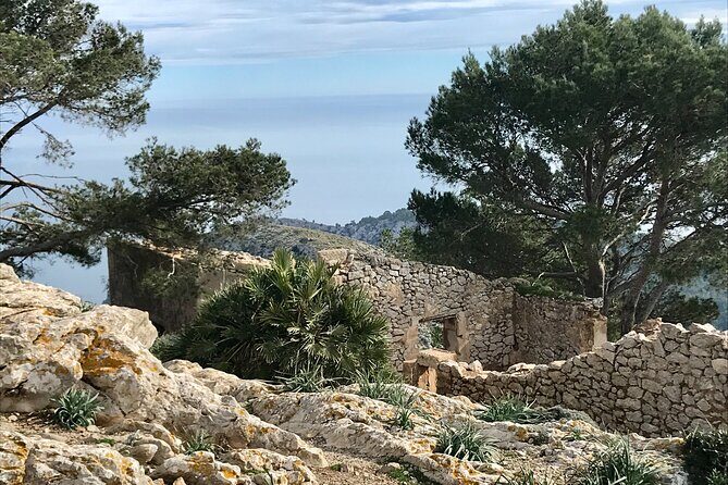 Hiking on Alcudia Peninsula - What Makes This Tour Stand Out