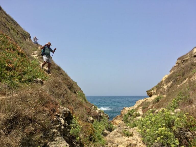 Hiking Tour Along the West Coastline - An In-Depth Look at the Experience