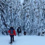 Hiking tour in Nuuksio National Park with meal and snacks - Why This Tour Works for You
