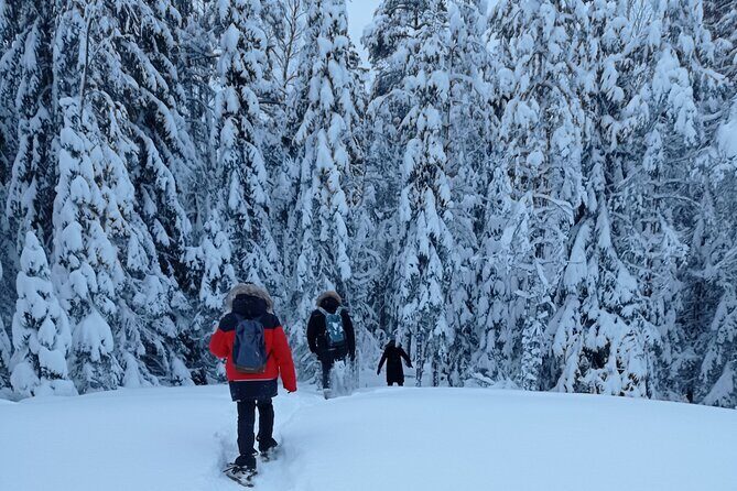 Hiking tour in Nuuksio National Park with meal and snacks - Why This Tour Works for You
