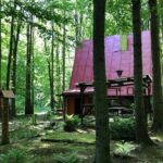 Hiking Tour in the Small Carpathians - In the track of forest people - Value and Practicalities