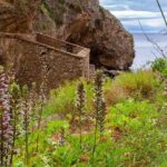 Hiking Tour to the Paradise Beach - Authentic Feedback from Travelers