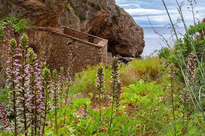 Hiking Tour to the Paradise Beach - Authentic Feedback from Travelers