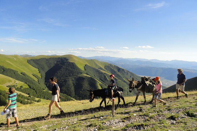 Hiking with donkeys - Who Will Love This Tour?