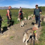 Hiking with Husky in Akureyri (private) - The Cost and Value of the Tour