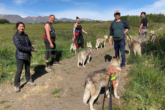 Hiking with Husky in Akureyri (private) - The Cost and Value of the Tour