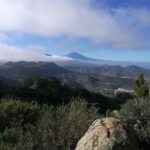 hikking tour in Anaga - Why This Tour Offers Great Value