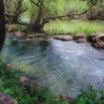 Hills & Thrills: 4 Hr Fonte da Benémola Electric Motorbike Tour - Who Would Love This Tour?