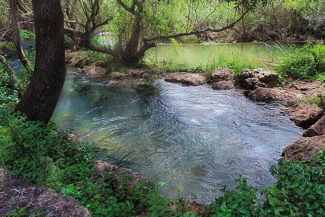 Hills & Thrills: 4 Hr Fonte da Benémola Electric Motorbike Tour - Who Would Love This Tour?