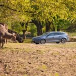 Hilvarenbeek: Safaripark Beekse Bergen Entry Ticket - What the Reviews Say