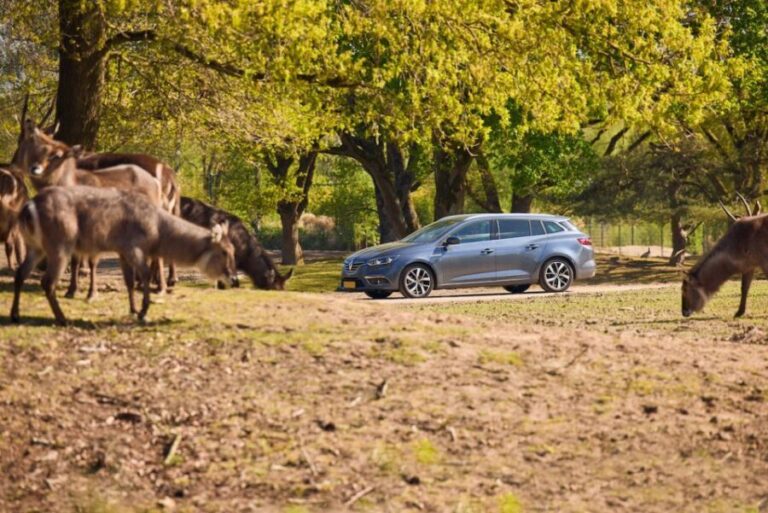 Hilvarenbeek: Safaripark Beekse Bergen Entry Ticket - What the Reviews Say