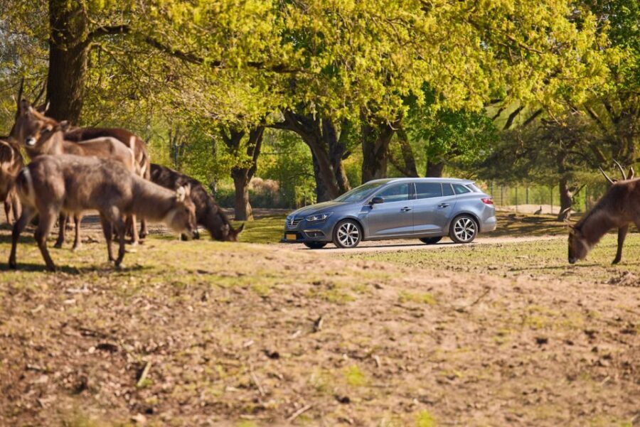 Hilvarenbeek: Safaripark Beekse Bergen Entry Ticket - What the Reviews Say