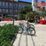 Historic Guided Tour - Electric Bike (Half day) - Who Should Book This Tour?