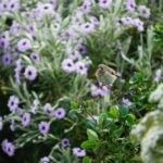 Historic Orkney Coastal Charms Tour by a Native Islander - Who is This Tour Best For?