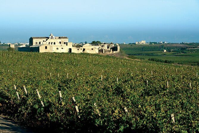 Historic winery visit with food and wine tasting in Marsala - The Sum Up