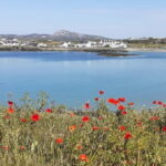 Holyhead: Holy Island Anglesey Coastal Hike - The Itinerary in Detail