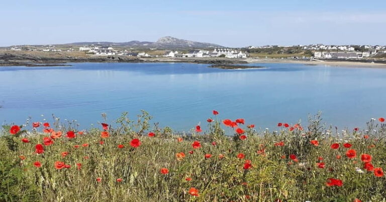 Holyhead: Holy Island Anglesey Coastal Hike - The Itinerary in Detail