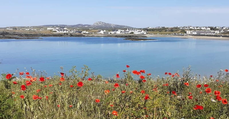 Holyhead: Holy Island Anglesey Coastal Hike - The Itinerary in Detail