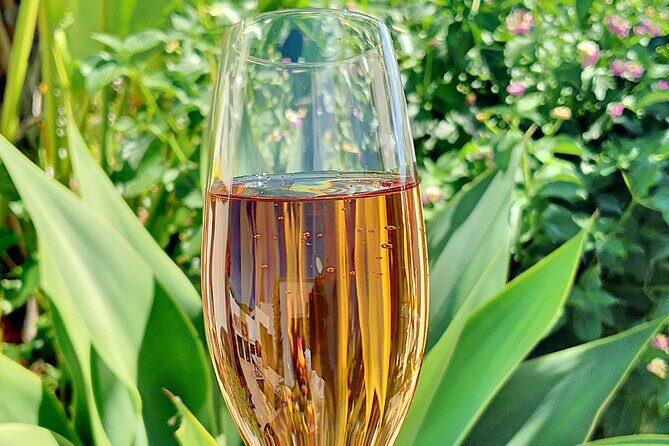 Homemade algarvian with a twist gourmet experience - Who Would Love This?