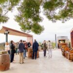 Hop and Taste Slovenia Hop on-Hop off / Hop & Taste - Who Is This Tour Best For?