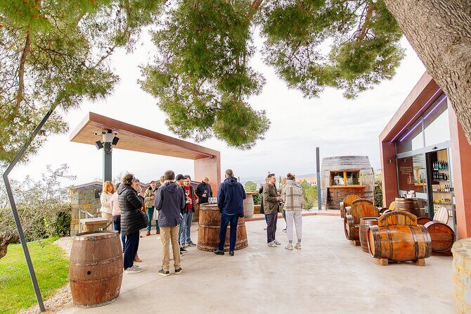 Hop and Taste Slovenia Hop on-Hop off / Hop & Taste - Who Is This Tour Best For?