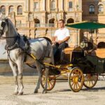 Horse and Buggy Ride in Seville with guide - Who Will Love This Experience?