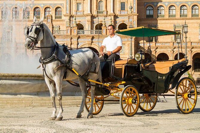 Horse and Buggy Ride in Seville with guide - Who Will Love This Experience?