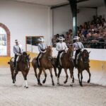 Horse and Flamenco Show in Malaga with Dinner - Authentic Experiences and Traveler Feedback