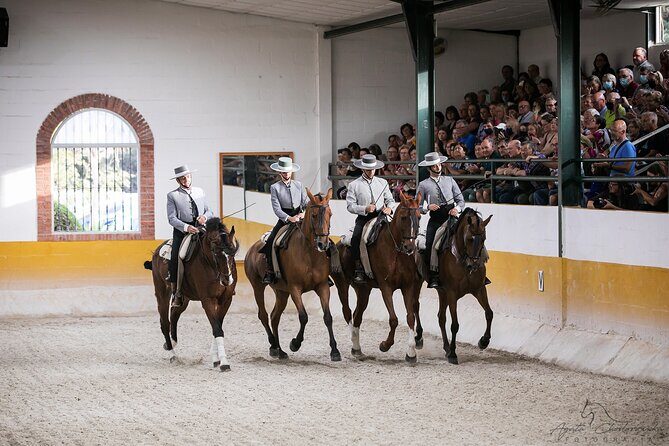 Horse and Flamenco Show in Malaga with Dinner - Authentic Experiences and Traveler Feedback