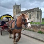 Horse drawn carriage ride and Picnic Hamper - Wildlife and Scenic Highlights